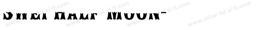 Swei Half Moon字体转换